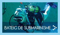 Bateig de submarinisme