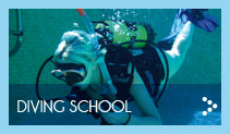 Diving School